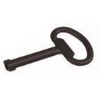 EATON - EAO255317 NWS-SL/DLB/3 CHIAVE DOPPIA ALETTA 3MM