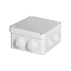 ELETTROCANALI SRL - ETNEC491C4 CASSETTA DERIVAZIONE IP55 110X110X60