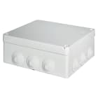 ELETTROCANALI SRL - ETNEC491C7 Cassetta derivazione IP55 250x200x100