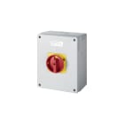 ELETTROCANALI - ETNEC660632E INTERRUTTORE ROTATIVO EM 63A-2P-155X205X