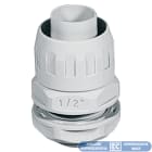ELETTROCANALI SRL - ETNECGX20M RAC. IP65 GUAINA-SCATOLA D.20 FIL. METRI