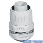 ELETTROCANALI SRL - ETNECGX25 RAC. IP65 GUAINA-SCATOLA FILETTO P.GAS D