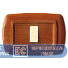 ELETTROCANALI SRL - ETNECL2597LC PLACCA TONDO 2 MOD.RAVV. LEGNO CHIARO