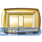 ELETTROCANALI SRL - ETNECL2597OR PLACCA TONDO 2 MOD.RAVVICINATI ORO
