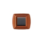 ELETTROCANALI - ETNECL2982LC PLACCA MYLIFE 2 MODULI LEGNO CHIARO