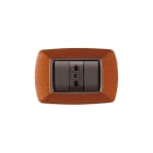 ELETTROCANALI - ETNECL2983LC PLACCA MYLIFE 3 MOD.LEGNO CHIARO