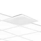 PERFORMANCE IN LIGHT - PRI3118519 ELA625ILQ 30 S/A 840 WH9016 DALI PR