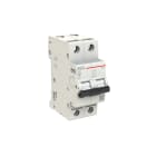 ELETTRA SRL AEG - AEGEN102D16 INT.AUT.AEG EN100 2P D 16A 10KA 2M