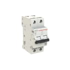 ELETTRA SRL AEG - AEGEN62C06 INT.AUT.AEG EN60 2P C 6A 6KA 2M