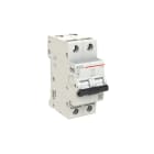 ELETTRA SRL AEG - AEGEN62C32 INT.AUT.AEG EN60 2P C 32A 6KA 2M