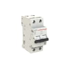 ELETTRA SRL AEG - AEGEN62C63 INT.AUT.AEG EN60 2P C 63A 6KA 2M