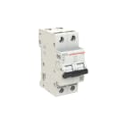ELETTRA SRL AEG - AEGEN62D16 INT.AUT.AEG EN60 2P D 16A 6KA 2M