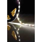 ELCOM SRL - EOW05177 STRIP 204LED/M 17,5W/M 40K IP20