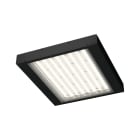 ESSE-CI SRL - ESC02DS86K365D ERGO/DS 86W 250MA 3000K CRI>90 IP65 DALI