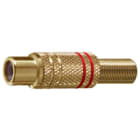ELCART DISTRIBUTION - ERT040203800 PRESA VOL.RCA DORATA NERA POL.