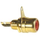 ELCART DISTRIBUTION - ERT040204700 PRESA PANN.RCA DORATA COL. ROSSO