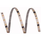 ELCART DISTRIBUTION - ERT186091000 STRISCIA LED 5W/M BF 12V IP20