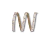 ELCART DISTRIBUTION - ERT186093000 STRISCIA LED 5W/M BF 24V IP65