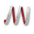 ELCART DISTRIBUTION - ERT186517100 STRISCIA LED 19,2W/M RGBBF24VIP65