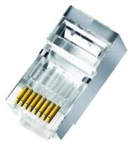 ELCART DISTRIBUTION - ERT401350500 SPINA CAT.6 UTP CON FORI PASSANTI