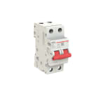 ELETTRA SRL AEG - AEGESD2063 SEZIONAT.MODULARE AEG ESD 2P 63A 2M