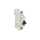 ELETTRA SRL AEG - AEGEX101UCC10 INT.AUT.AEG EX100UC 1P C 10A 10KA 1M