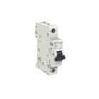 ELETTRA SRL AEG - AEGEX101UCC20 INT.AUT.AEG EX100UC 1P C 20A 10kA 1M