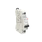 ELETTRA SRL AEG - AEGEX41NRC25 INT.AUT.AEG EX41NR 1P+N C 25A 4,5KA 1M