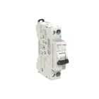 ELETTRA SRL AEG - AEGEX41NRC32 INT.AUT.AEG EX41NR 1P+N C 32A 4,5KA 1M