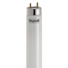 BEGHELLI - BEG56234 T8 ECOLED STD 1500MM G1324W840