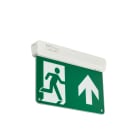 SIGNIFY ITALY SPA - PHA79904500 EM159C WL/CM EXIT SIGN M3 ELP UP WH