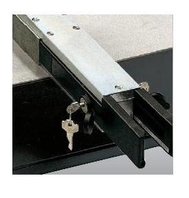 FAAC SPA - FAA424010 SBLOCCO LEVE X AP.110G