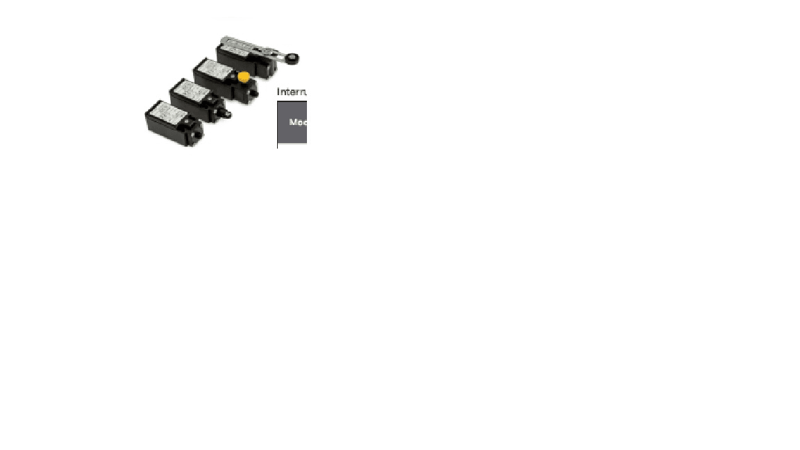 FANDIS SPA - FAD008778.00001 FC-001 INTERRUTTORE FINECORSA 1NO+1NC