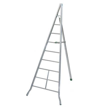 FACAL SRL - FAFAG300 SCALA AGRICOLTURA M. 3.00