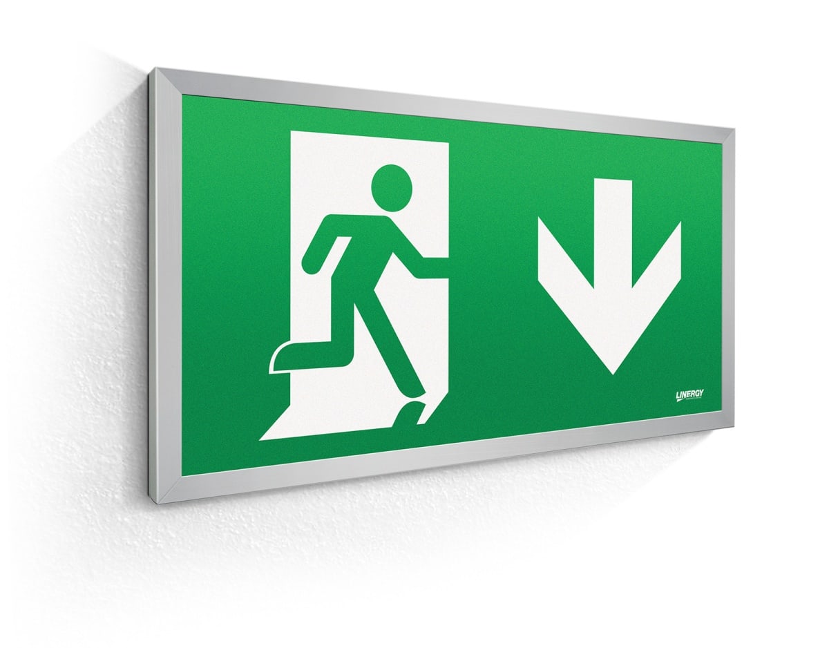 LINERGY SRL - LENFG2101 FLAG 30M SL IP40 SPY CENTER 24