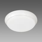 FOSNOVA - FOS220424130050 TORTUGA 0424 28W 4K CLD-EC BIA