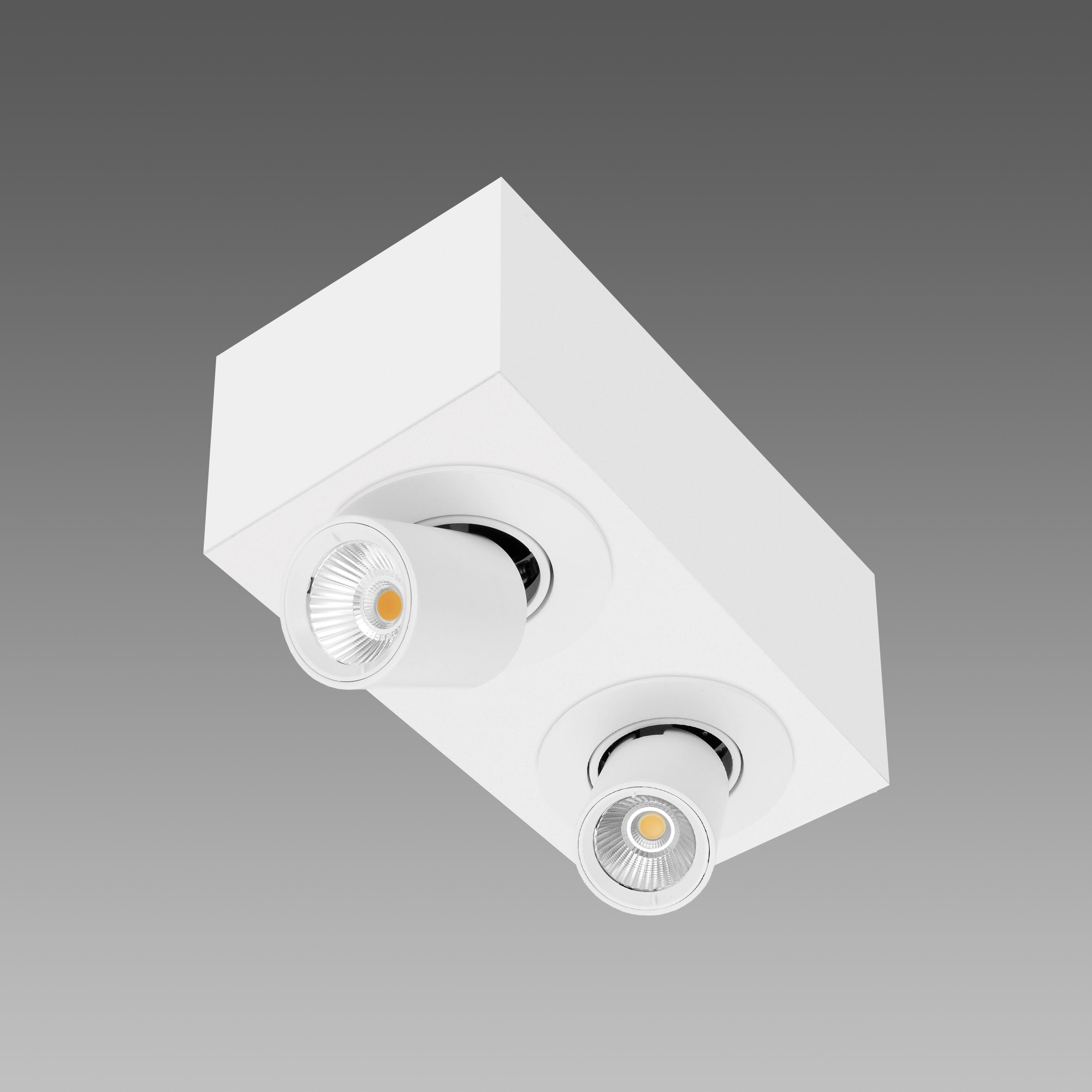 FOSNOVA - FOS2218931200 ASSO C 2 SMALL 1893 28W 38 CLD BIA