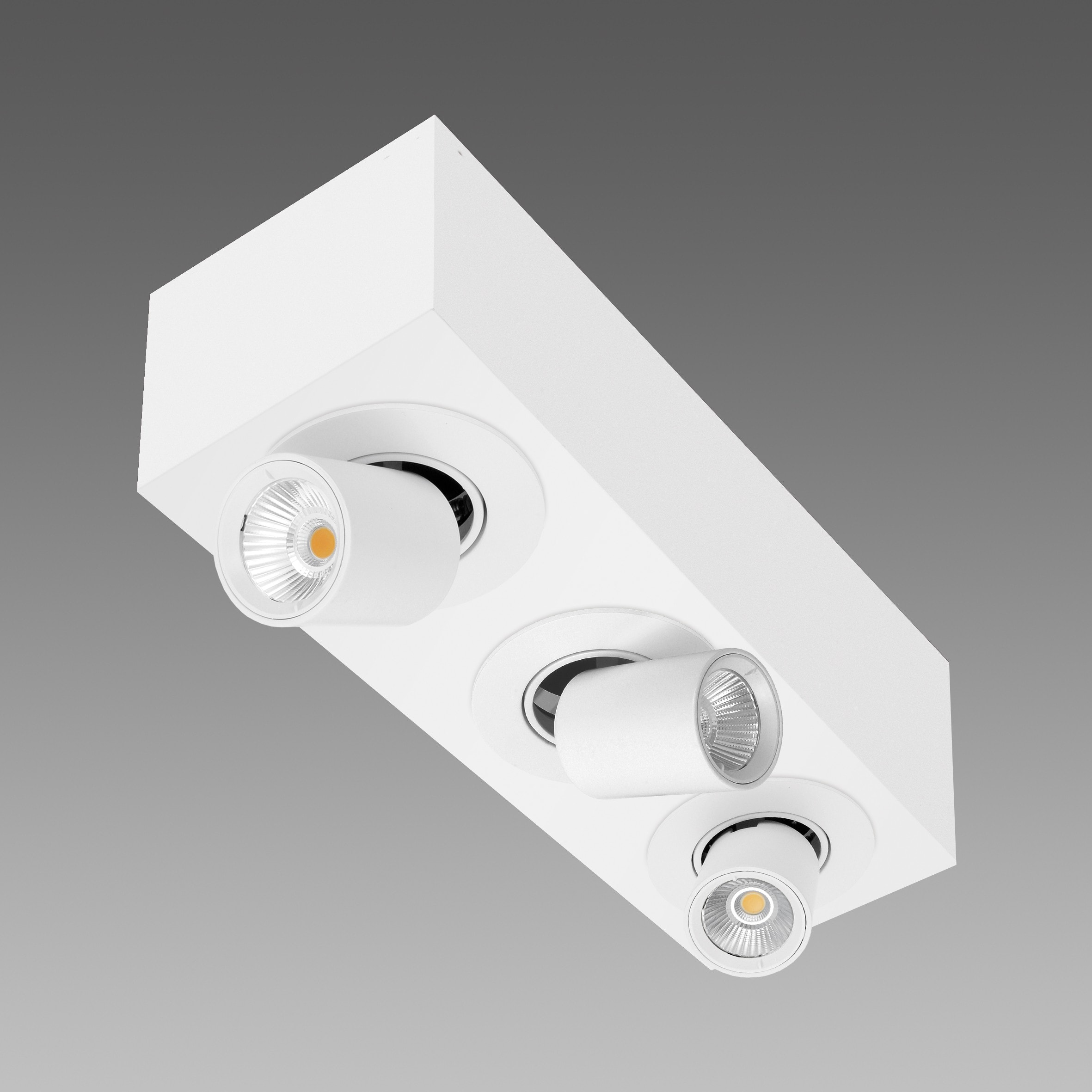 FOSNOVA - FOS2218941200 ASSO C 3 SMALL 1894 42W 38 CLD BIA
