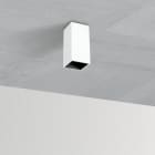 FOSNOVA - FOS2251010100 SPOT M1 5101 LED 2W 4K CLD S+L BIA