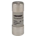 MERSEN ITALIA SPA - XEST217183 500V CP 22X58 GG 100A P