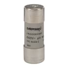 MERSEN ITALIA SPA - XESF216159 500V CP 22X58 GG 80A P