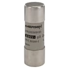 MERSEN ITALIA SPA - XESP211038 690V CP 22X58 GG 20A S/I