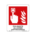 CEMBRE SPA - CEM242004AB001AR TARG.ALL.FS-AB 210X160MM.PULS.ALLAR.ANTI