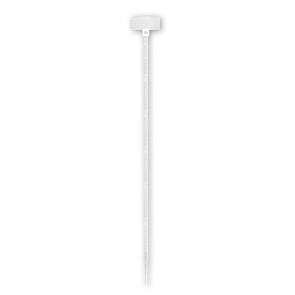 ARNOCANALI SPA - ARNFTS10025 FASCETTA TARGHETTA 100X2,5