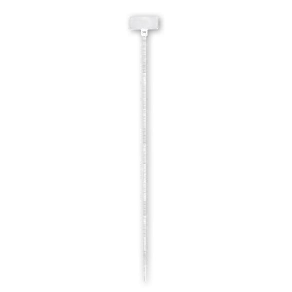 ARNOCANALI SPA - ARNFTS10025 FASCETTA TARGHETTA 100X2,5