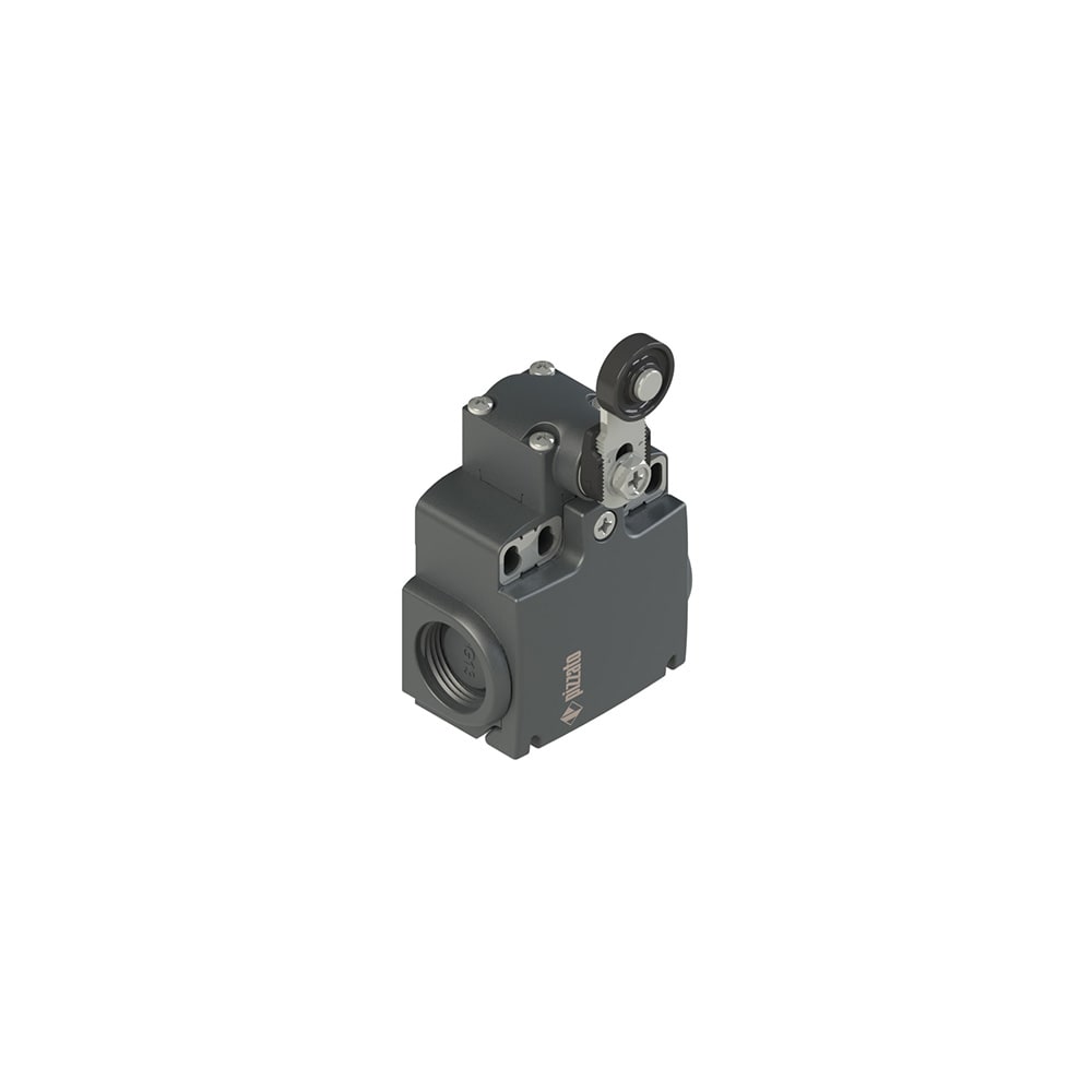 PIZZATO ELETTRICA - PZZFX 531-XM2V38 INTERRUTTORE DI POSIZIONE A LEVA GIREVOL