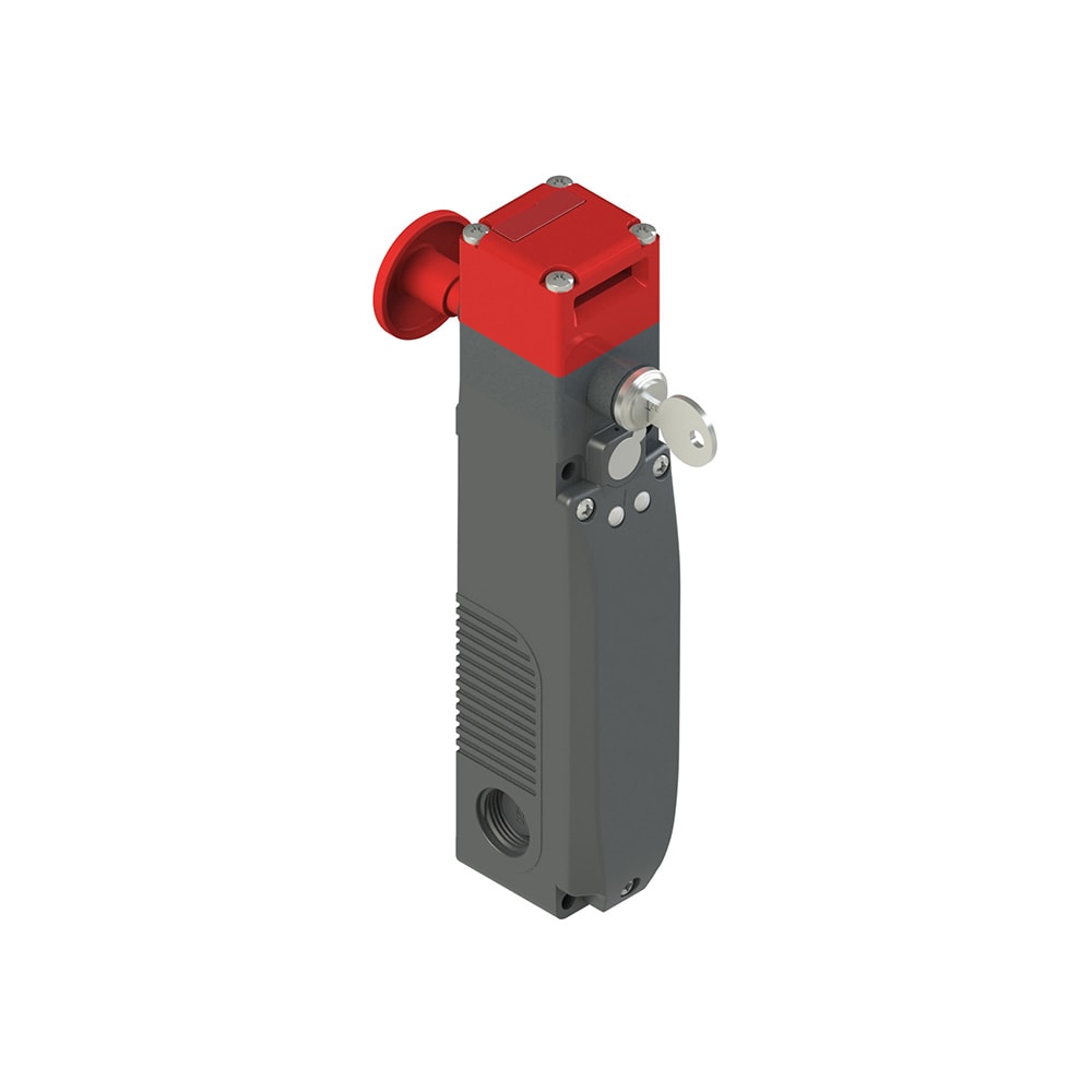 PIZZATO ELETTRICA - PZZFY 60CD6D0A-LP60 Interruttore di sicurezza ad azionatore