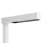 LOMBARDO - LOMLL14032WAN Flag 430 Post LED 4K 35W Bianco