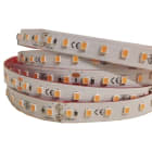 ELCOM SRL - EOW06070 STRIP 112LED/M 16,8W/M CARNE IP65