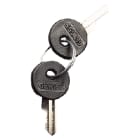 GEWISS - GEWGW20901 SET 2 CHIAVI PER APPARECCHI DI COMANDO